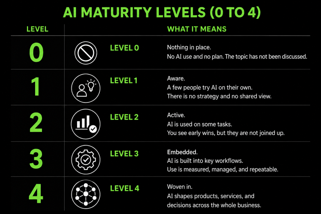 The AI maturity levels (0 to 4)